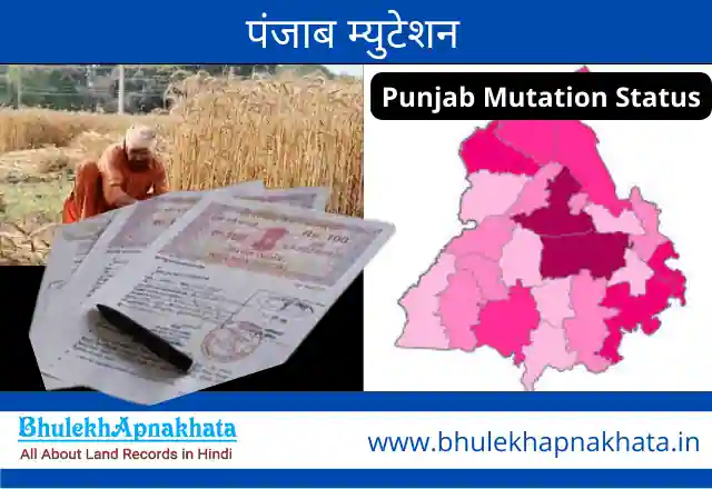 Punjab Mutation